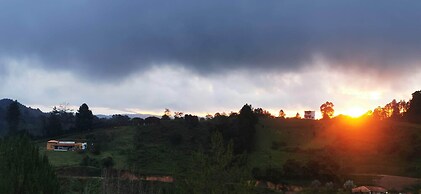 CONTAINER & HOBBIT GLAMPING