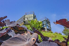 CONTAINER & HOBBIT GLAMPING