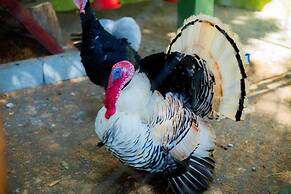 Hotel Fazenda Costelão