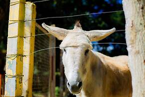 Hotel Fazenda Costelão