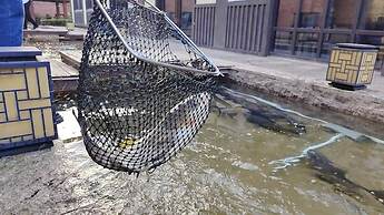 Bright QiandaoLake Resort