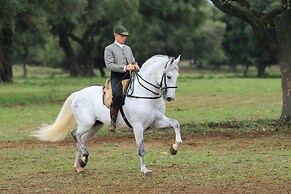 Posada Alegria