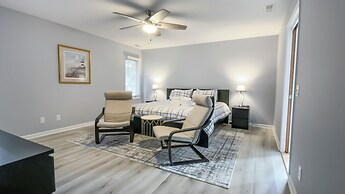 8 Surf Scoter at The Sea Pines Resort