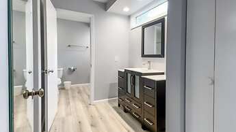 8 Surf Scoter at The Sea Pines Resort