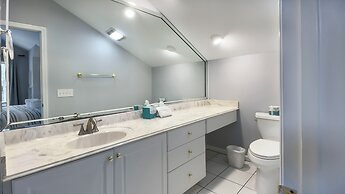 8 Surf Scoter at The Sea Pines Resort