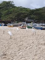 Andorinhas