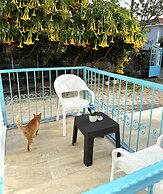 Enjoy Hotel
