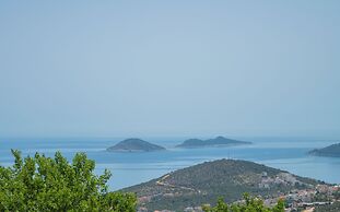 Mulberry Suit Aparts