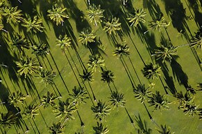 Wakaya Island Resort & Spa