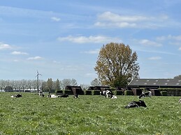 Hotelhuisjes Andijk