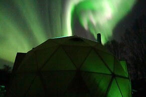 Wild Caribou Dome
