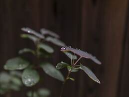 Tabist kiki HOTEL KYOTO Gojo Karasuma