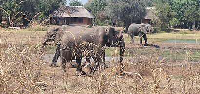 Mopani Safari Lodge