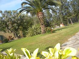 Auberge Les Oliviers