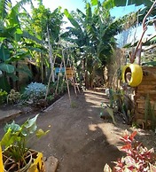 Banana shade hostel