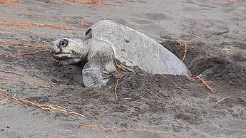 EcoHotel Bahía Terco