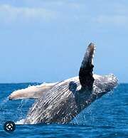 EcoHotel Bahía Terco