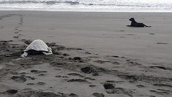 EcoHotel Bahía Terco