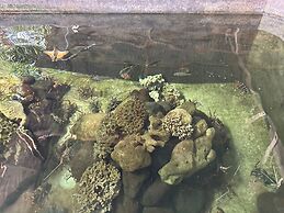 Bayview Beach Resort East Lombok