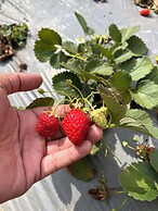 Bayview Beach Resort East Lombok