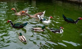 Quinta de Chousas - Braga - Agrotourism