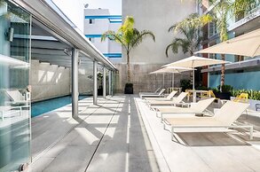 Polanco Designer Apartament