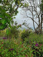 3 Tang May Home & Coffee