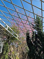 3 Tang May Home & Coffee