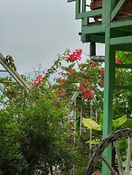 3 Tang May Home & Coffee