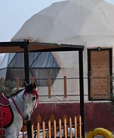 Adel rum camp