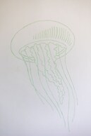 Light House Beach house with Ocean View