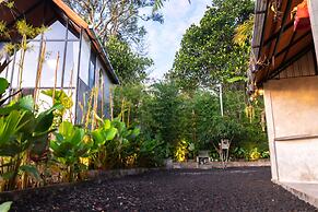 Mountain Peak Kintamani