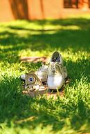 Le Palais Averroes - Adults Only