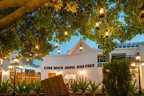 Roadies Rostel - Best Adventure Resort In Ahmedabad.