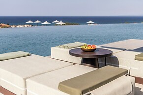 King Jason Zante – Designed for Adults