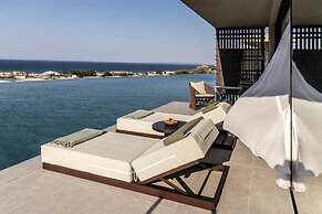 King Jason Zante – Designed for Adults