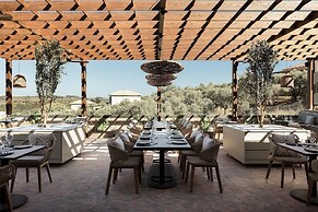 King Jason Zante – Designed for Adults