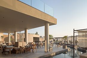 King Jason Zante – Designed for Adults