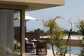 King Jason Zante – Designed for Adults