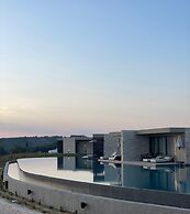 King Jason Zante – Designed for Adults