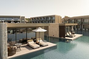 King Jason Zante – Designed for Adults