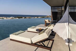 King Jason Zante – Designed for Adults