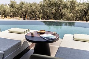 King Jason Zante – Designed for Adults