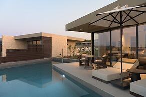 King Jason Zante – Designed for Adults