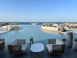 King Jason Zante – Designed for Adults