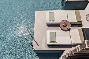 King Jason Zante – Designed for Adults