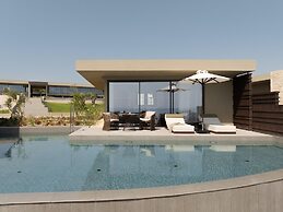 King Jason Zante – Designed for Adults