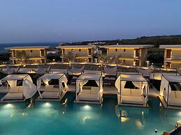 King Jason Zante – Designed for Adults