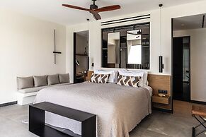 King Jason Zante – Designed for Adults