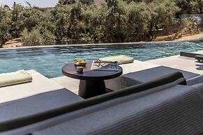 King Jason Zante – Designed for Adults